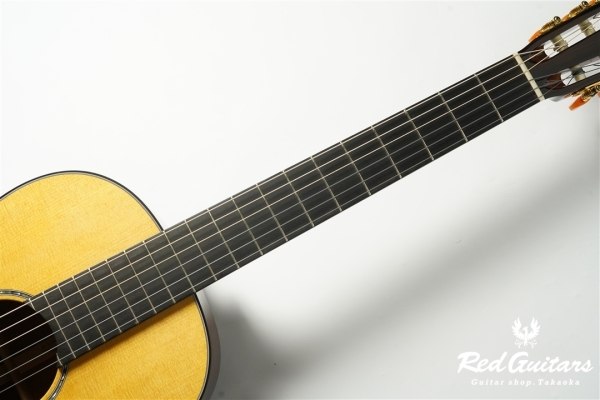 00-Nylon w/FISHMAN Matrix VT Enhance